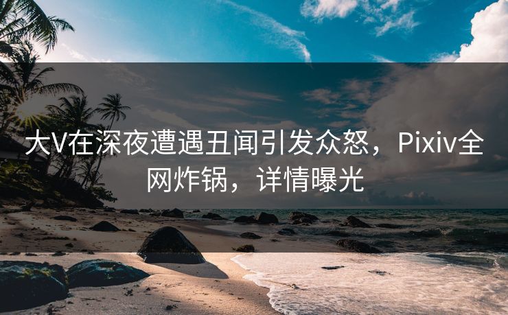 大V在深夜遭遇丑闻引发众怒，Pixiv全网炸锅，详情曝光