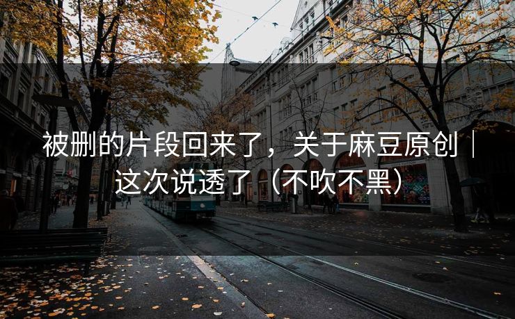 被删的片段回来了，关于麻豆原创｜这次说透了（不吹不黑）