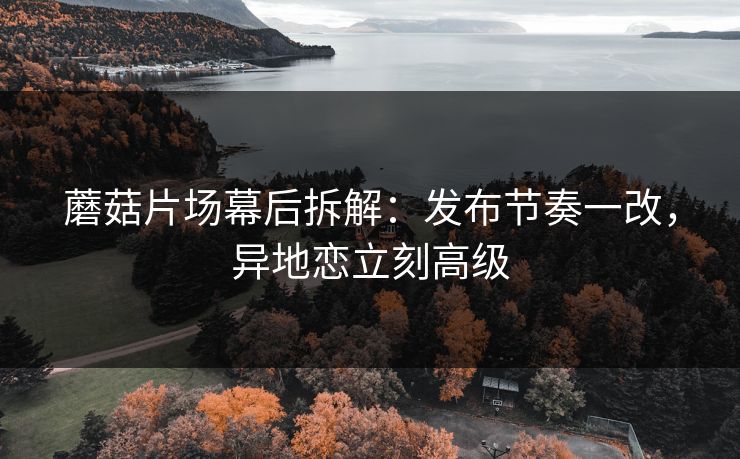 蘑菇片场幕后拆解：发布节奏一改，异地恋立刻高级